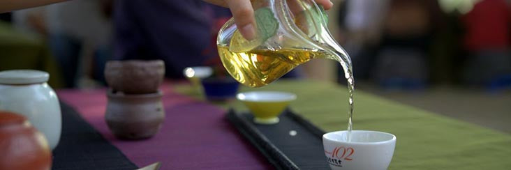 Tasting championship tea