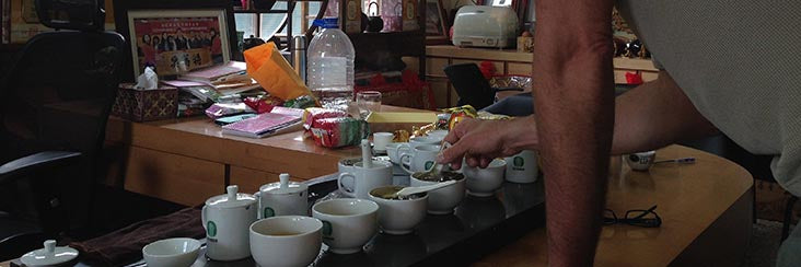 Sample newly processed 2014 spring harvest teas