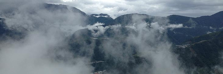 Overlooking a Taiwanese organic high-mountain oolong tea farm