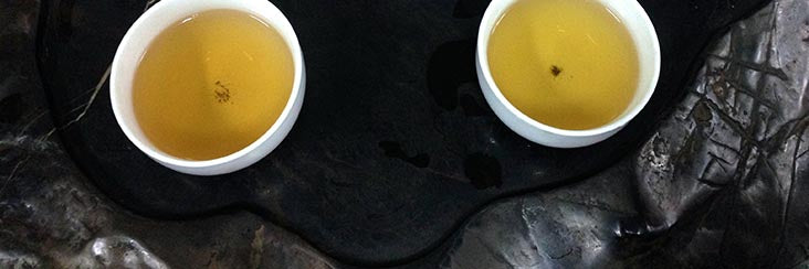 Sampling the final roasted oolong tea