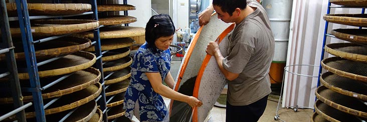 Final spring oolong tea harvest is in! Here it's being bagged and ready to ship for packaging.