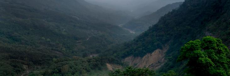 The mountains of central Taiwan, location of where Eco-Cha sources many of its artisan Oolong teas