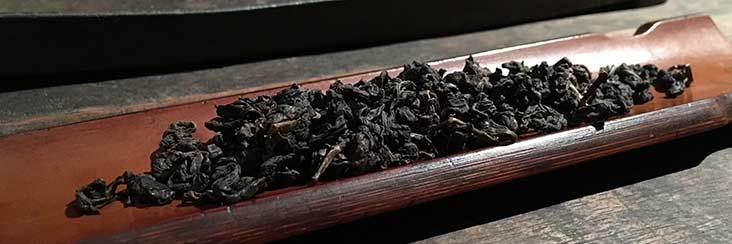Tasting some aged and charcoal roasted tea in Taipei