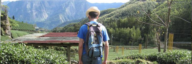 Andy takes a stroll onto the highest tea garden on the hill above Zhangshuhu in Alishan Country