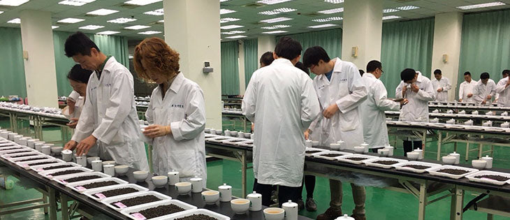 World's largest oolong tea competition spring 2016