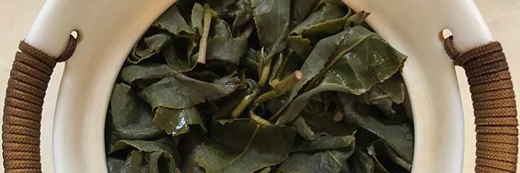 A cup of freshly brewed award-winning Alishan High Mountain Oolong Tea