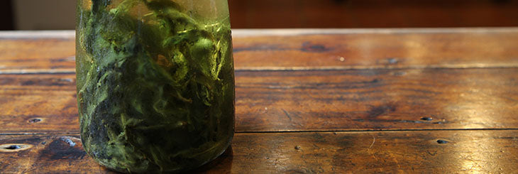 Cold brew tea