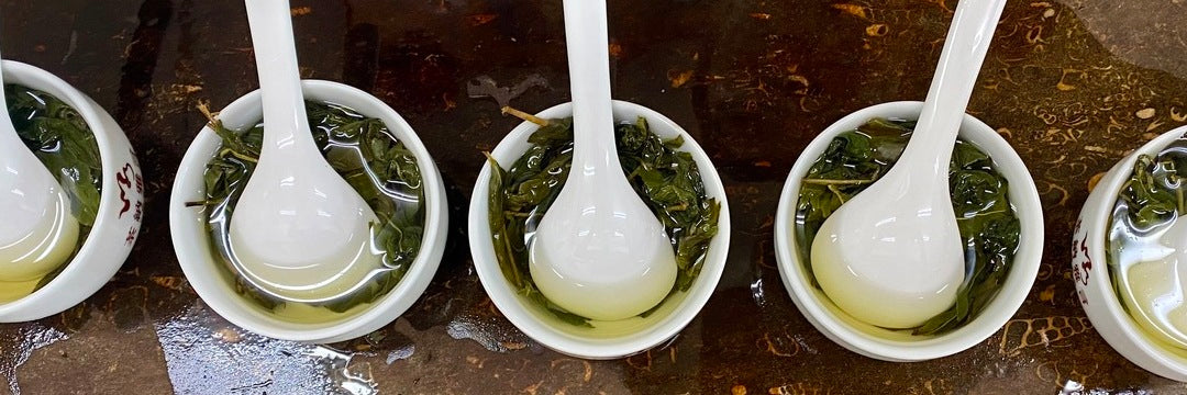 Alishan High Mountain Oolong Summer 2023