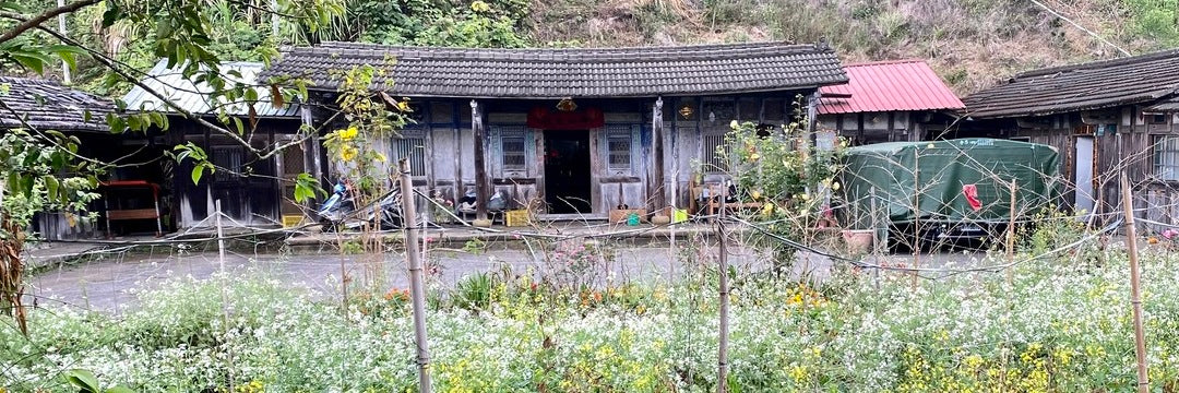 Alishan Small Leaf Type Black Tea | Eco-Cha Tea Club