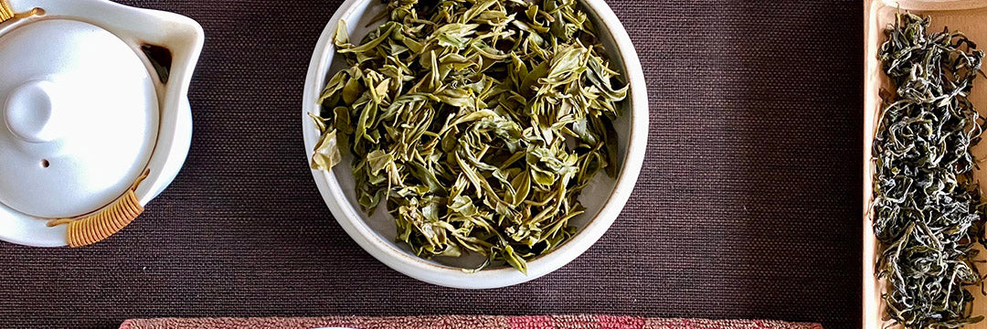 Early Spring Bi Luo Chun Green Tea brewed leaves on a table