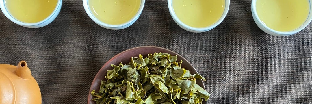 Late Winter Oolong Tea Tasting Notes | Eco-Cha Tea Club