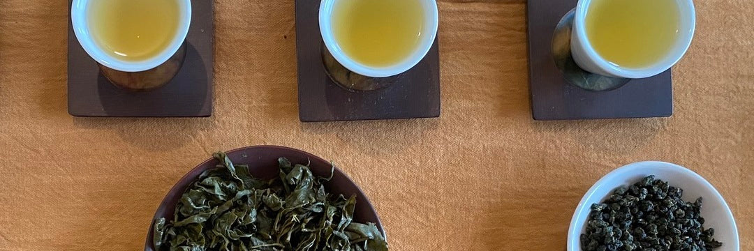 Award Winning Alishan Jin Xuan Oolong Tea Tasting Notes | Eco-Cha Tea Club