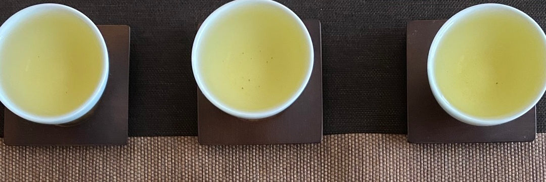 Batch 115 High Mountain Oolong Spring Tea Tasting Notes | Eco-Cha Tea Club