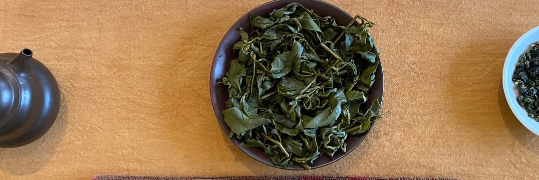 Li Shan High Mountain Oolong Tea Tasting Notes | Eco-Cha Tea Club