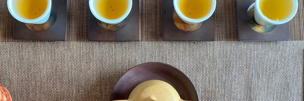 High Mountain Concubine Oolong Tea Tasting Notes| Eco-Cha Tea Club