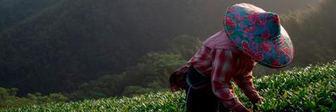 Sustainability and Responsible Farming—What Does it Entail?