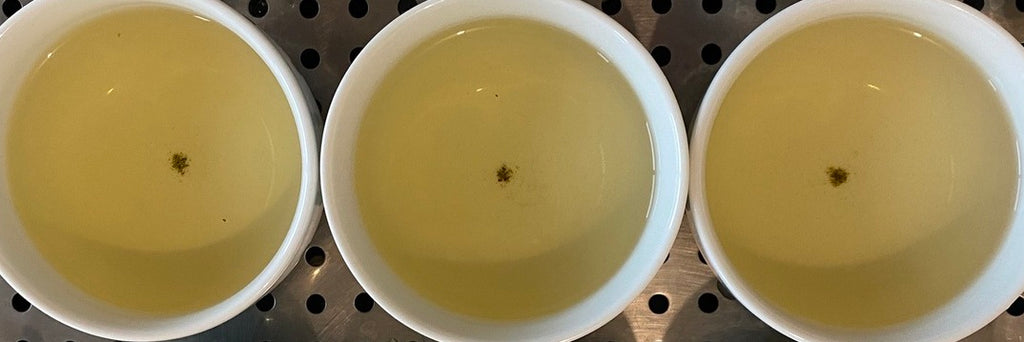 High Mountain Oolong Summer/Fall Harvests 2022 | Eco-Cha Teas