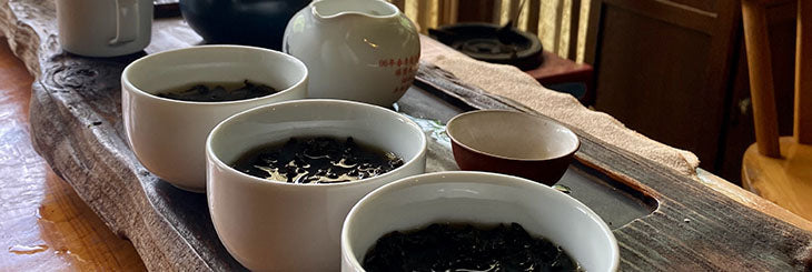 Tieguanyin spring 2020 sourcing trip taste testing