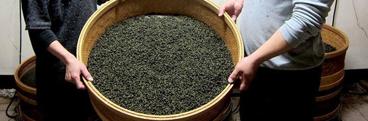Light Roast High Mountain Oolong Tea