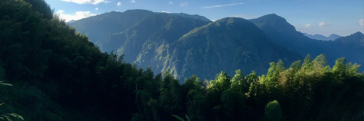 Long Feng Xia (龍鳳峽) or Dragon Phoenix Gorge