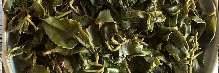 Alishan High Mountain Tea Tasting Notes | Eco-Cha Tea Club