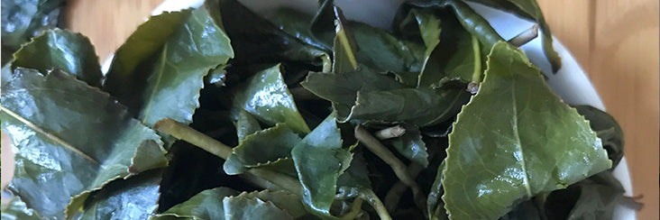 Da Yu Ling High Mountain Oolong brewed tea leaves