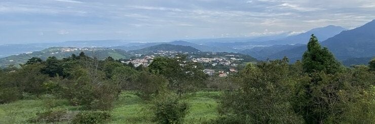Eco-Cha’s Roots In Taiwan Tea Country