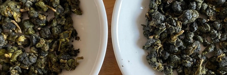 Shan Lin Xi Taiwan High Mountain Oolong Tea Spring 2022 | Eco-Cha Teas