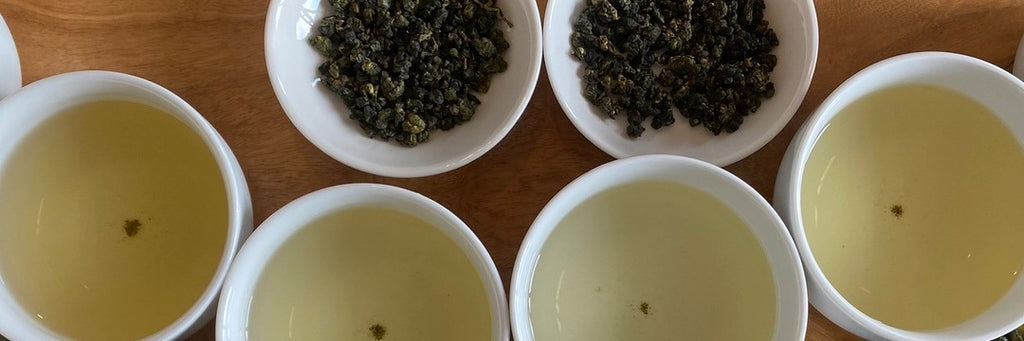 Alishan High Mountain Jin Xuan Oolong Summer 2022 | Eco-Cha Teas