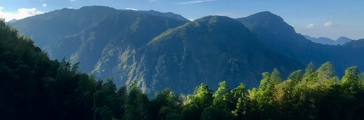 Taiwan high mountain tea country