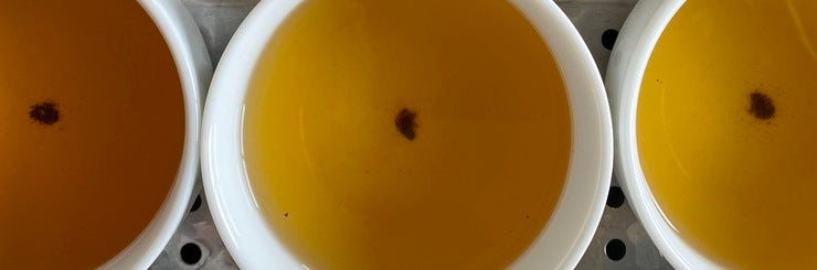 Taiwan Dong Ding Oolong Spring 2022 | Eco-Cha Teas