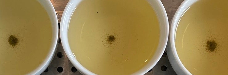 Li Shan High Mountain Oolong Spring 2022 | Eco-Cha Teas