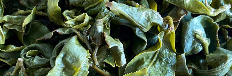 Ying Xiang Dong Pian Oolong Tea Tasting Notes | Eco- Cha Tea Club