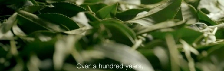 Taiwan Celebrates International Tea Day | Eco-Cha Teas
