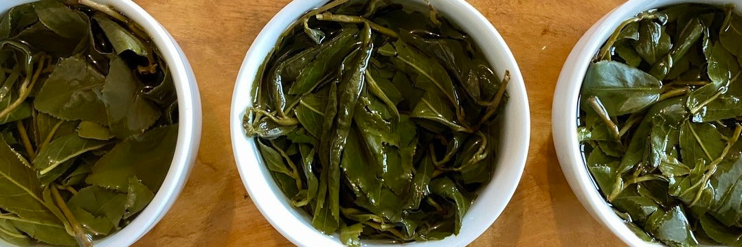 Spring 2024 High Mountain Oolong Teas