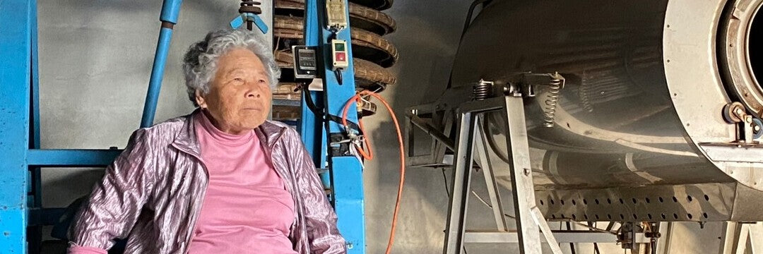 Grandma overseeing the making of Traditional Dong Ding Oolong in Taiwan