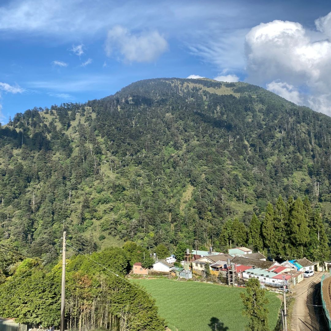 Li Shan high mountain tea region in Taiwan
