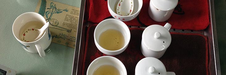 Sampling tea from the 2014 Lugu Farmers' Association Dong Ding Oolong Spring tea competition