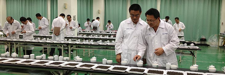 Tea judging at the 2014 Lugu Farmers' Association Dong Ding Oolong Spring Tea Competition