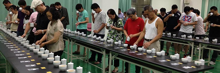 Samping various teas at the Lugu Farmers' Association 2014 Ding Dong Oolong Spring Tea Competition