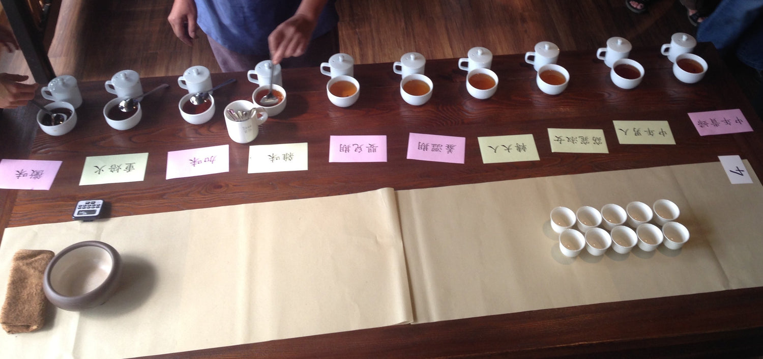 Tea tasting at a seminar on the effects of aging on Oolong Tea given by Mr. 陳國任 the head director of TRES (Tea Research and Extension Station) in Taiwan