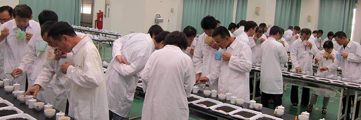 Judges meticulously taste test each entry at the Spring 2015 Lugu Farmers' Association Dong Ding Oolong Tea Competition