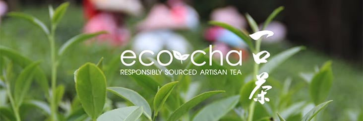 Eco-Cha made a documentary about sourcing organically grown tea for its Indiegogo campaign