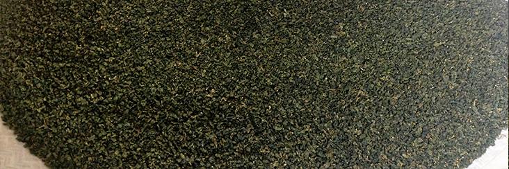 Award winning Taiwan Oolong Tea after rolling and drying