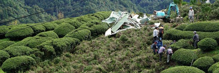 A high-mountain tea operation being removed by Taiwan government authorities