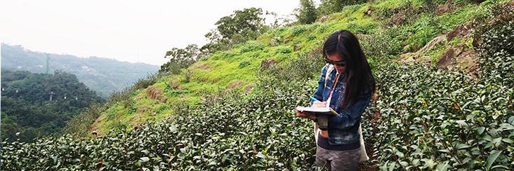 Dana Ter, freelance writer and staff reporter for the Features section of the Taipei Times, takes notes in a tea field