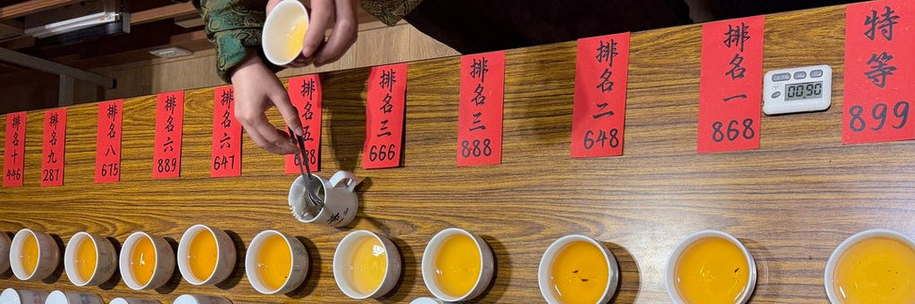 Summer 2026 Top Award-Winning Oriental Beauty Tea Tasting