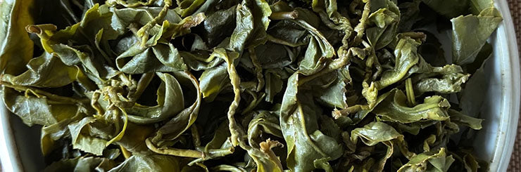 Alishan High Mountain Jin Xuan Oolong Tea brewed leaves