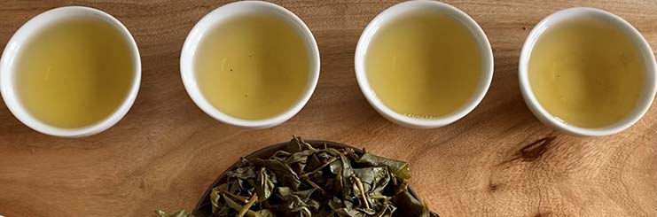 Dong Pian Oolong Tea