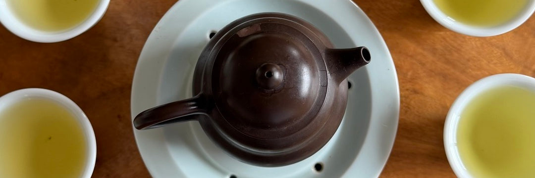 Batch 130 Li Shan High Mountain Oolong Tea Tasting Notes | Eco-Cha Tea Club